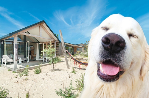 Alle vakantiehuizen aan met je hond - DogsIncluded
