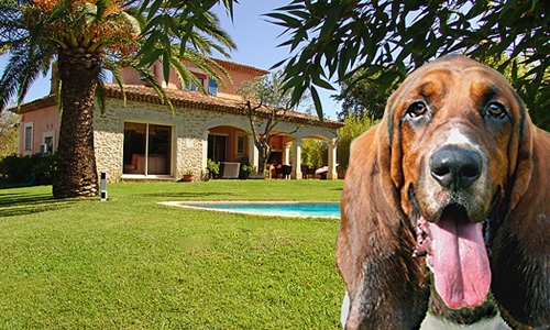 item Wonderbaarlijk Beukende DogsIncluded - jouw beste keuze voor vakanties met je hond