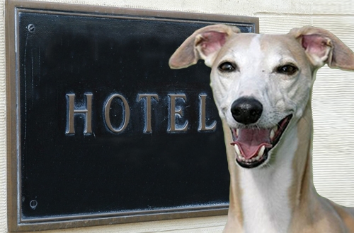 Hondvriendelijke hotels in Europa