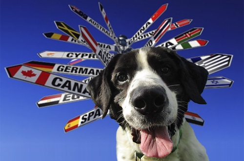 Landeninformatie honden die in buitenland op vakantie gaan -